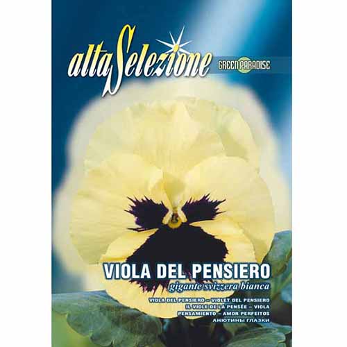 Panseluțe Swiss Giant albe imagine 1 articol 96361