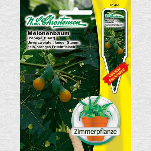 Papaya Melonenbaum imagine 1 articol 69267
