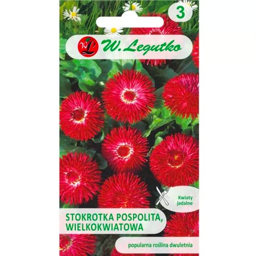 Паричка Gracja, червена Legutko изображение 1 артикул 78616