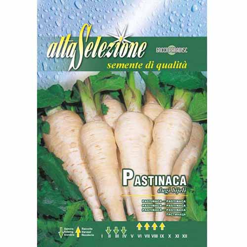 Păstârnac Dugi Bijeli imagine 1 articol 96391