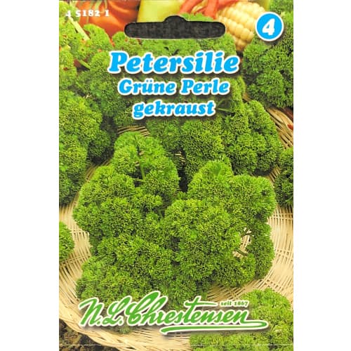 Pătrunjel de frunze Green Pearl Chrestensen imagine 1 articol 78863