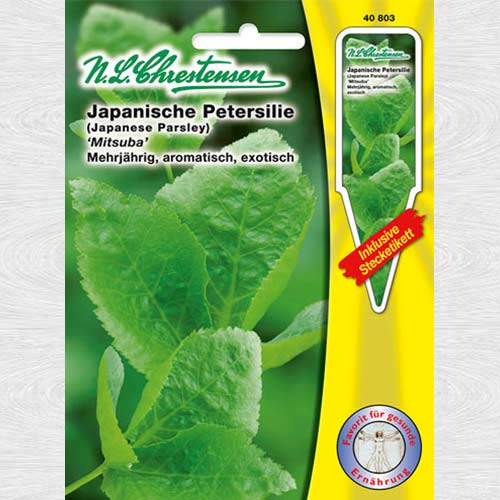 Pătrunjel japonez Mitsuba imagine 1 articol 69095