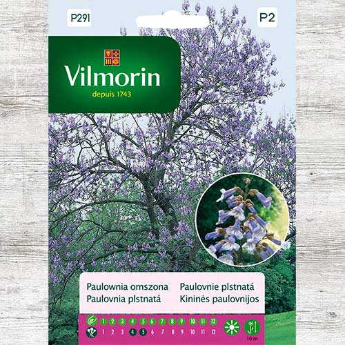 Paulownia omszona interface.image 1 interface.art 86646