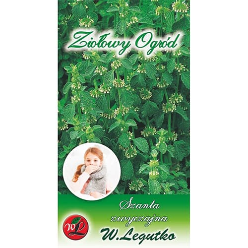 Пчелник обикновен изображение 1 артикул 69689