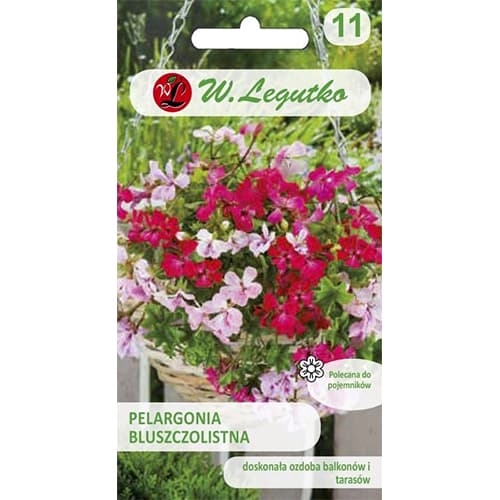 Pelargonia bluszczolistna Speedy F2, mix kolorow interface.image 1 interface.art 69617