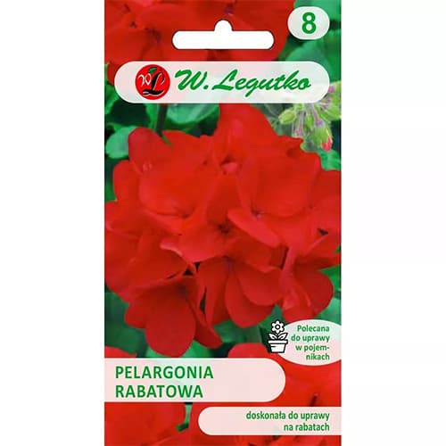Pelargonia (Geranium) rabatowa Gama czerwona F1 interface.image 1 interface.art 78632