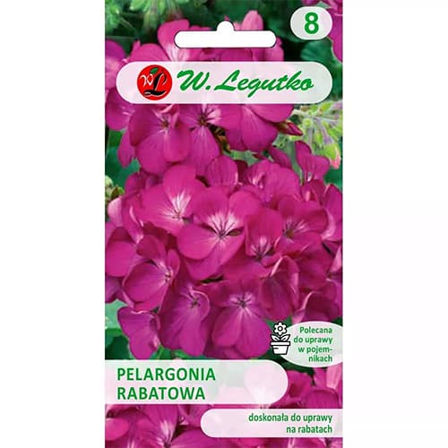 Pelargonia (Geranium) rabatowa Gama fioletowa F1 interface.image 1 interface.art 78633
