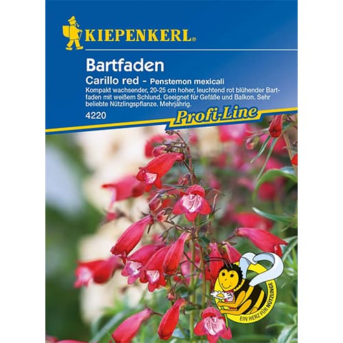 Penstemon Carillo Red imagine 1 articol 86248