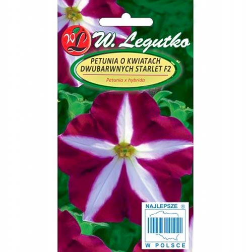 Petunia ogrodowa zwisająca dwubarwna Starlet F2 interface.image 1 interface.art 78643