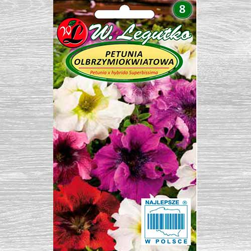Petunia ogrodowa Smolicka Superbissima, mieszanka interface.image 1 interface.art 69625