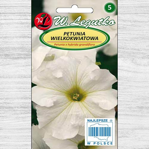 Petunia ogrodowa wielkokwiatowa biała Legutko interface.image 1 interface.art 78635