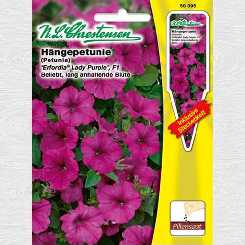 Petunie curgătoare Lady Purple F1, semințe drajate imagine 1 articol 69360
