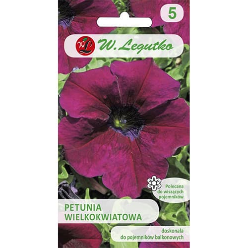 Petunie grandiflora vișinie imagine 1 articol 78639