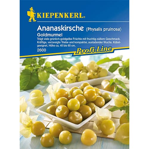 Physalis (Cireșe de pământ) Gold Marble imagine 1 articol 86237