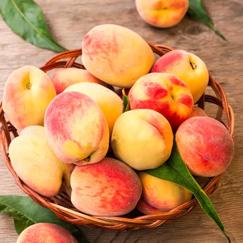 Piersic Lolita, C2 imagine 1 articol 9677