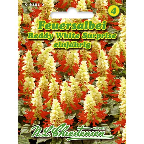 Пламъче Reddy White Surprise изображение 1 артикул 86185