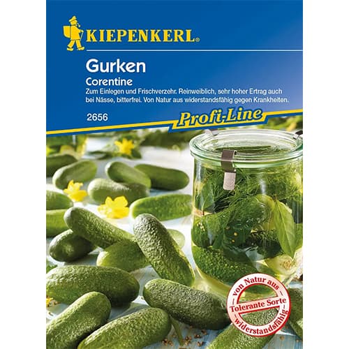 Краставица за консервиране Corentine F1 изображение 1 артикул 86443