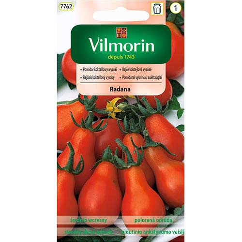 Pomidor koktajlowy wysoki Radana Vilmorin interface.image 1 interface.art 77743