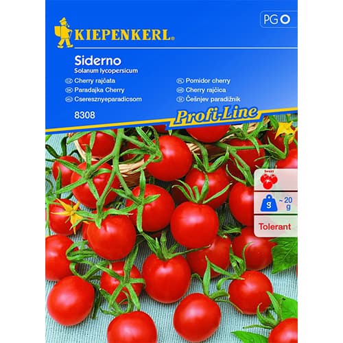 Pomidor cherry Siderno interface.image 1 interface.art 86549