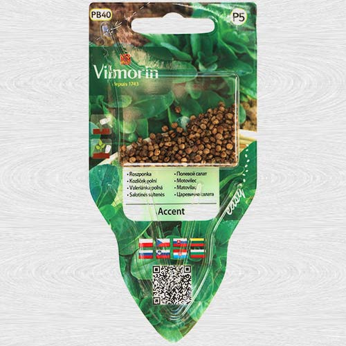 Porumb de salata Accent imagine 1 articol 69739