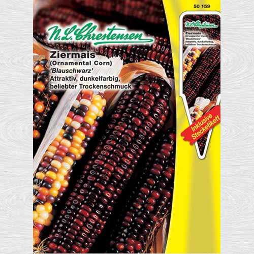 Porumb decorativ, mix multicolor imagine 1 articol 69415