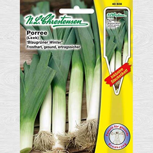 Praz Blaugruner Winter imagine 1 articol 69148