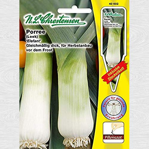 Praz Elefant imagine 1 articol 69149