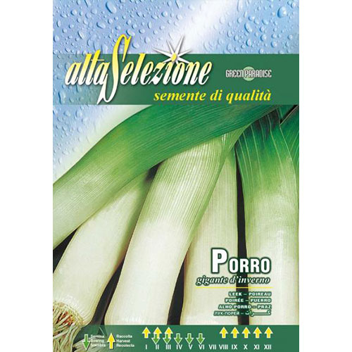 Praz Gigante d'Inverno imagine 1 articol 87164