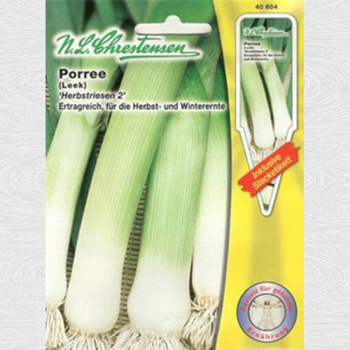 Praz Herbstriesen 2 (Chrestensen) imagine 1 articol 69150