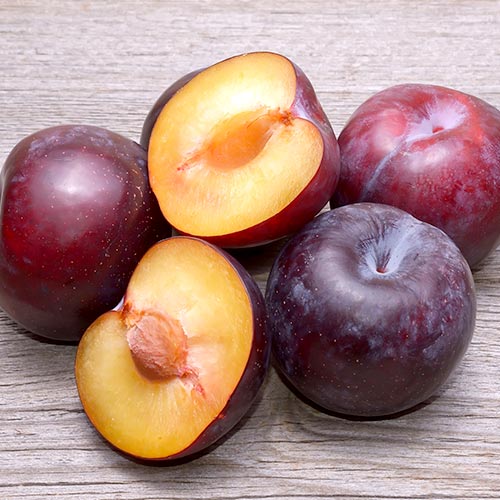 Prun Angeleno imagine 1 articol 4308