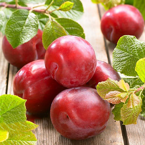 Prun Fortune imagine 1 articol 7962