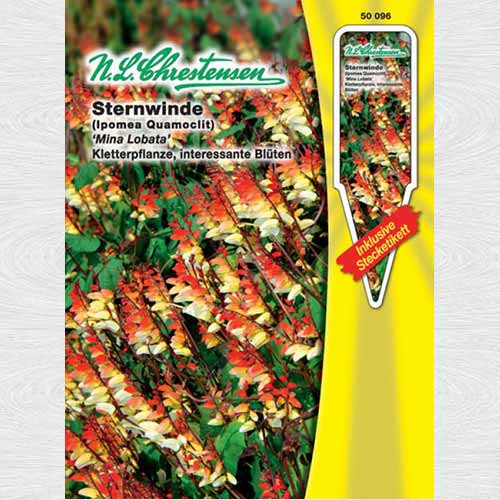 Quamoclit Mina Lobata imagine 1 articol 69365