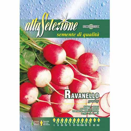 Репичка Gaudry изображение 1 артикул 96395