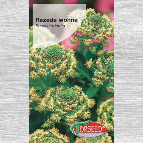 Rezeda wonna czerwona interface.image 1 interface.art 77582
