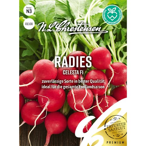 Ridiche Celesta F1 imagine 1 articol 86085