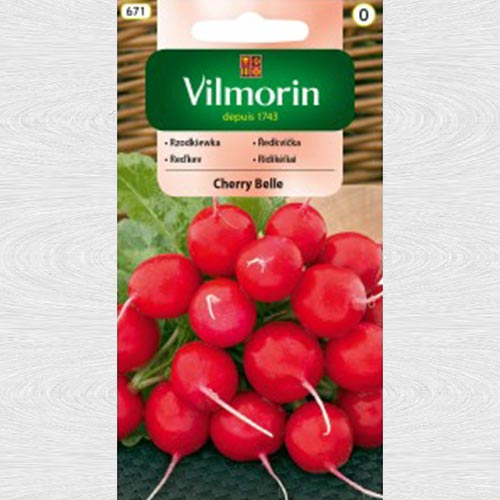 Ridiche Cherry Belle 2 imagine 1 articol 69712