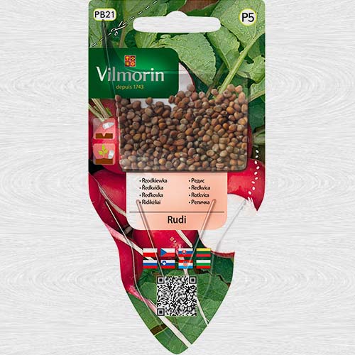 Ridiche Rudi imagine 1 articol 69741