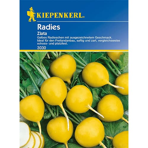 RIdiche Zlata imagine 1 articol 96654