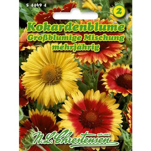 Roata de foc (Gailardia) cu flori mari, mix multicolor imagine 1 articol 96422