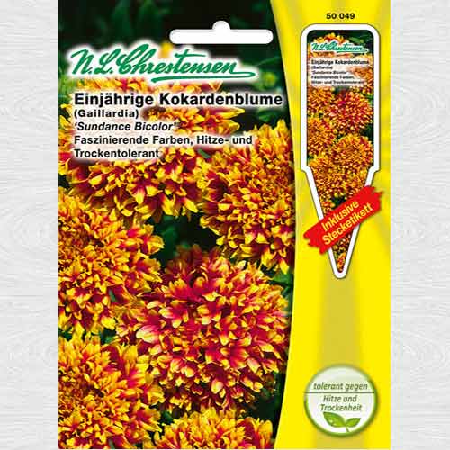 Roata de foc (Gaillardia) Sundance Bicolor imagine 1 articol 69302