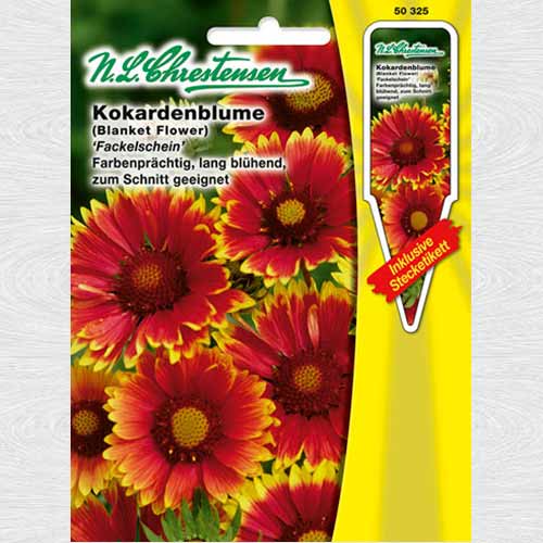 Roata de foc (Gaillardia) Torchlight imagine 1 articol 69301