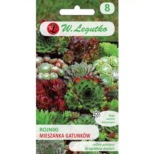 Rojniki (Sempervivum), Mix Legutko imagine 1 articol 50117