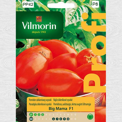 Roșie Big Mama F1 imagine 1 articol 69714