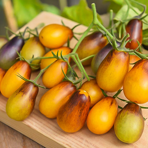 Roșie Indigo Pear Drops imagine 1 articol 78495