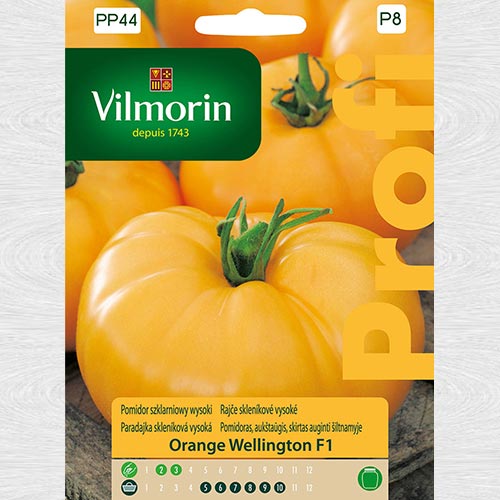 Roșie Orange Wellington F1 imagine 1 articol 69713