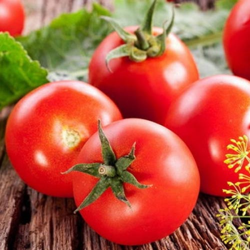 Roșie Samurai imagine 1 articol 66717