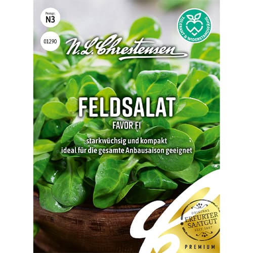 Salata roszponka warzywna Favor F1 interface.image 1 interface.art 86039