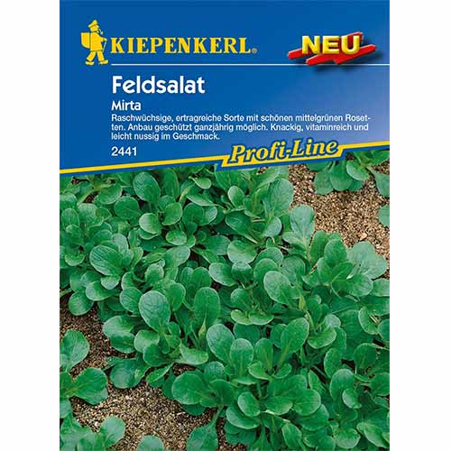 Roszpunka warzywna Mirta Kiepenkerl interface.image 1 interface.art 96616