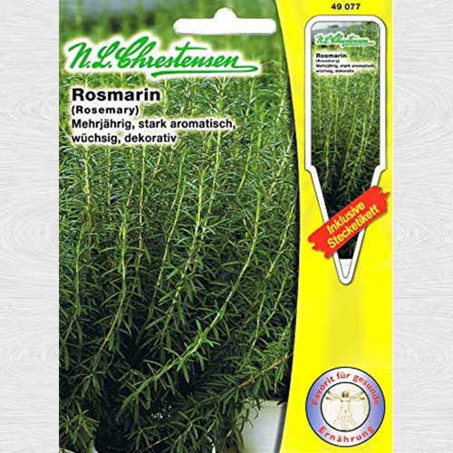 Rozmarin (Chrestensen) imagine 1 articol 69168