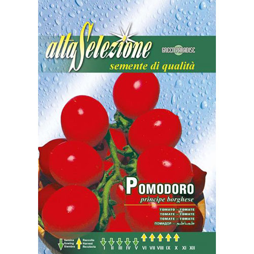 Roșie Principe Borghese imagine 1 articol 87184